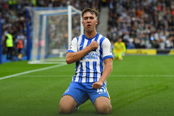 许多球队在 许多球队在