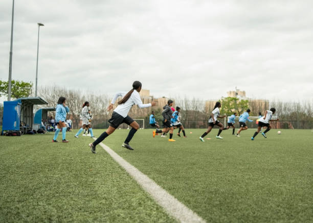 管理体系的 管理体系的